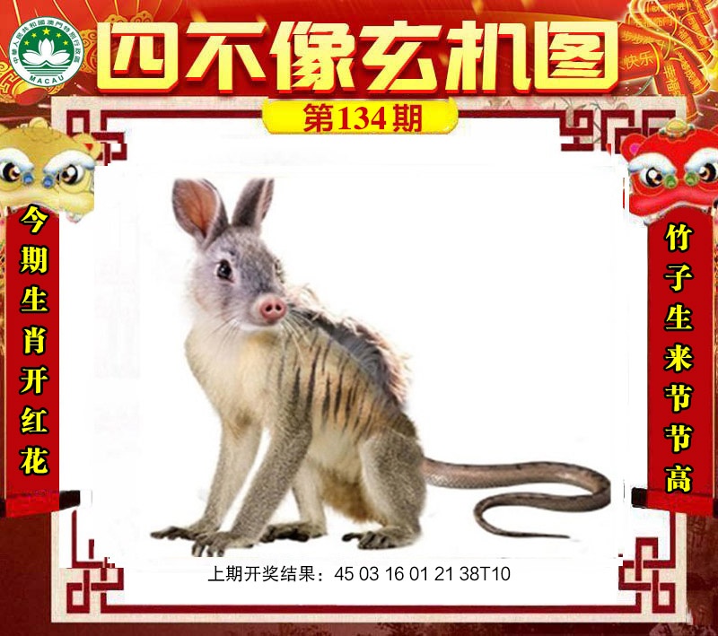 澳门挂牌